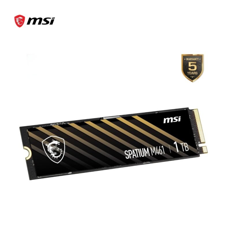 SPATIUM M461-1TB-D