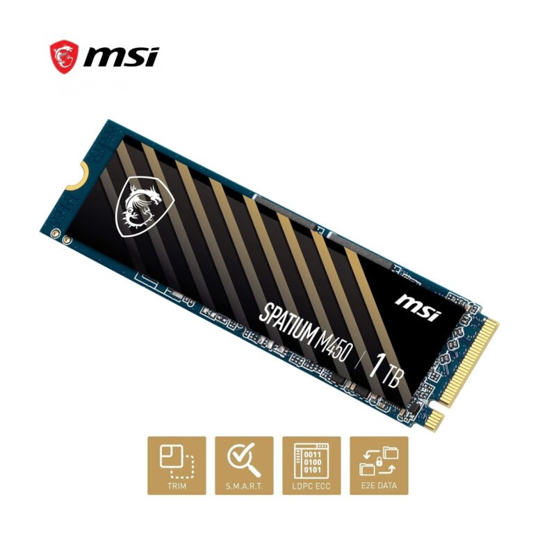 SPATIUM-M450-1TB-D